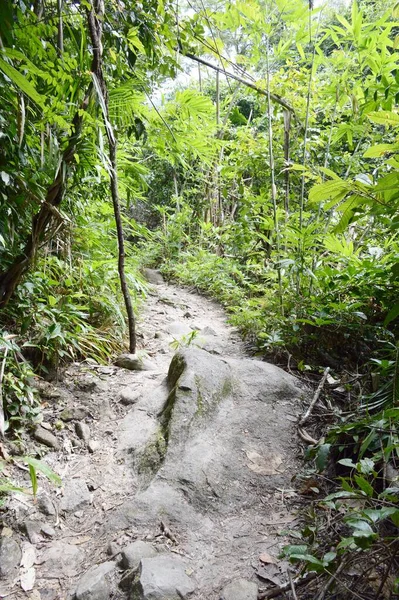 Gehweg Khao Chamao Rayong Thailand — Stockfoto