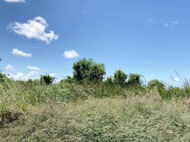 Tayland 'da Chachoengsao' da manzara