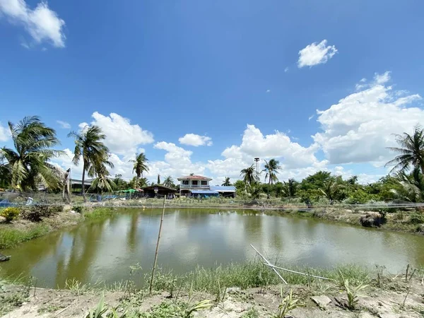 Close Landscape Chachoengsao Thailand — ストック写真