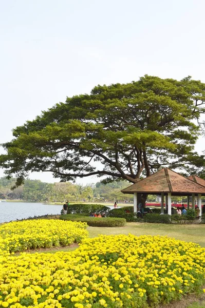 Suan Luang Rama Ένα Όμορφο Δημόσιο Κήπο Στην Μπανγκόκ Ταϊλάνδη — Φωτογραφία Αρχείου