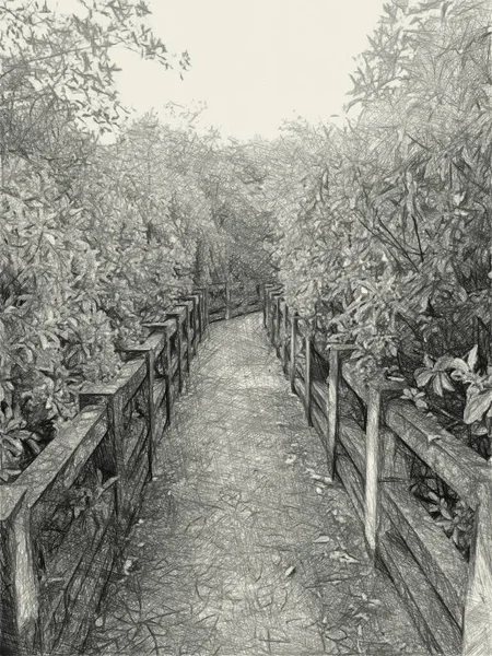 Dibujo Arte Blanco Negro Camino Bosque —  Fotos de Stock