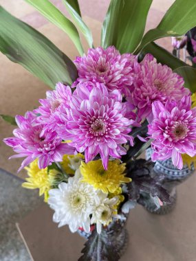 Kavanozdaki kasımpatı çiçeğini kapat.