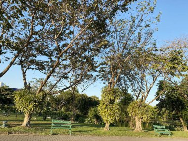 Chachoengsao Tayland 'daki doğa bahçesi.