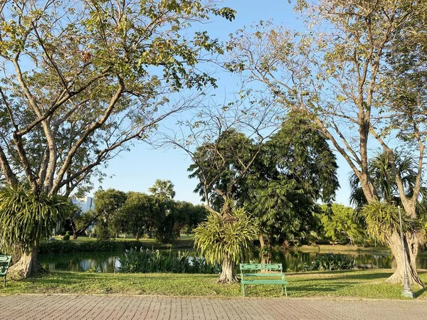 Jardim Natureza Chachoengsao Tailândia — Fotografia de Stock