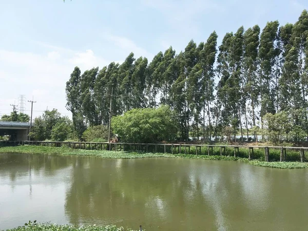 カントリーのKhlong Preng運河 Chachoengsao Thailand — ストック写真