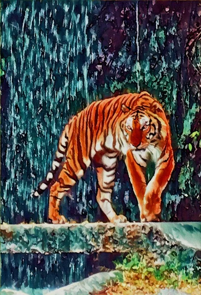 Arte Cor Fundo Tigre — Fotografia de Stock
