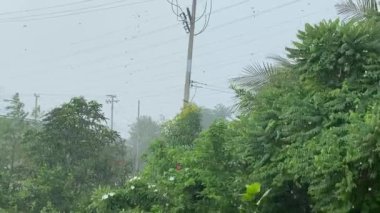 Tayland 'da doğa bahçesine yağmur yağar