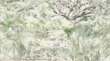 Ormandaki eski arabanın çizim rengi