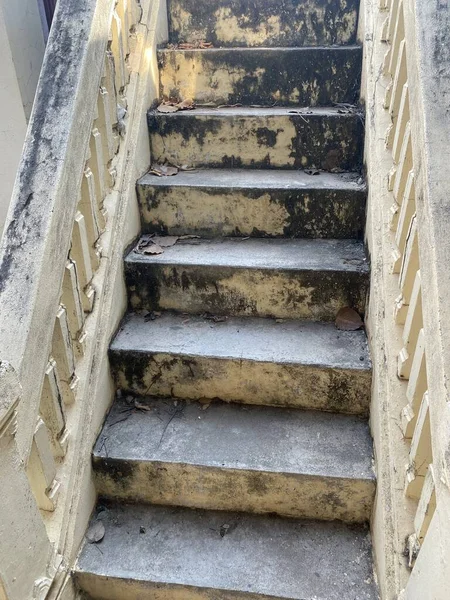 Fermer Vieil Escalier Ciment Dans Jardin Naturel — Photo