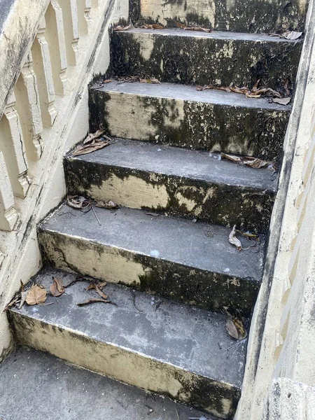 クローズ アップ自然園で古いセメントの階段 — ストック写真