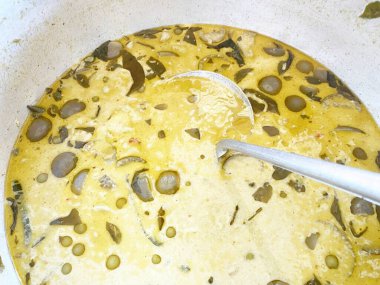 Yeşil körili tavuğu kapat.