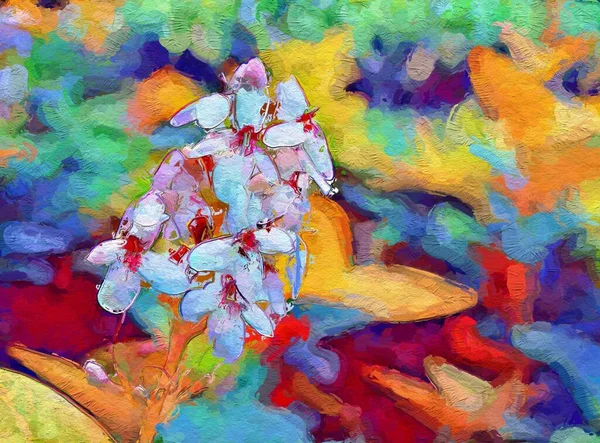 Мистецький Колір Красивої Квітки — стокове фото