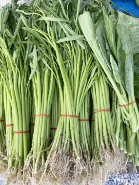 Taze Asya lahana salatası ve daha sıcak bir sabah zaferi.