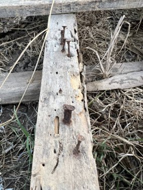 Yaşlı tahta üzerinde paslı çivi