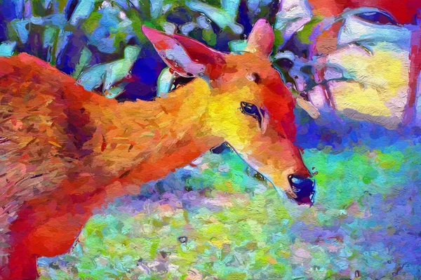 Color Arte Los Ciervos Jardín —  Fotos de Stock