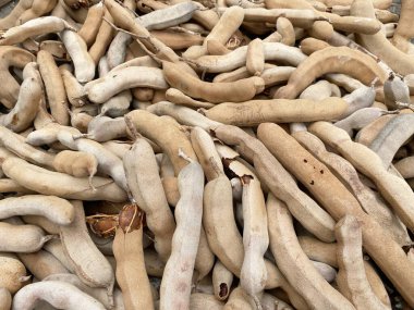 Yerdeki kuru demirhindi.