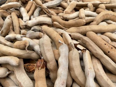 Yerdeki kuru demirhindi.