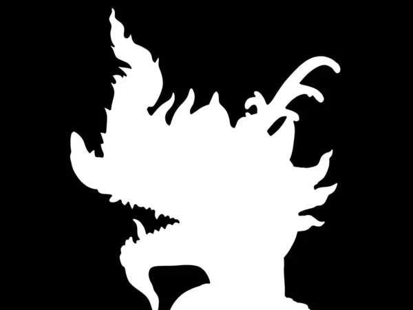 Schwarz Und Weiß Drachenform — Stockfoto