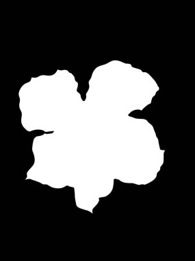 soyut arkaplan siyah beyaz