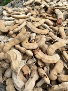 Yerdeki kuru demirhindi kapansın.