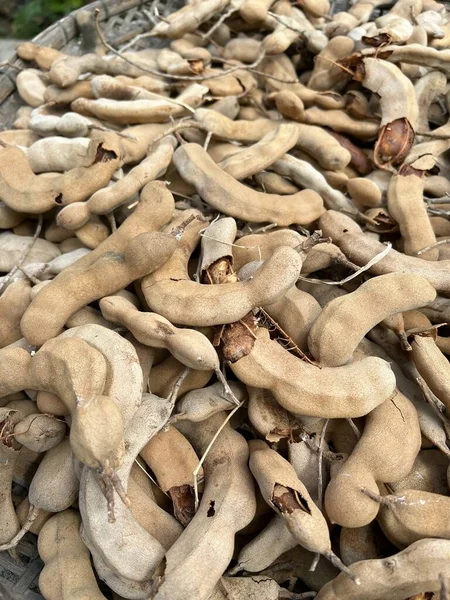 Yerdeki kuru demirhindi kapansın.