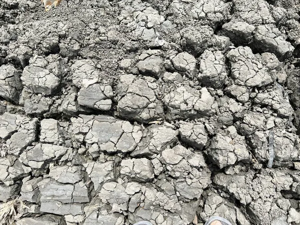 Texture Sol Fissuré Sec Dans Pays Thaïlande — Photo