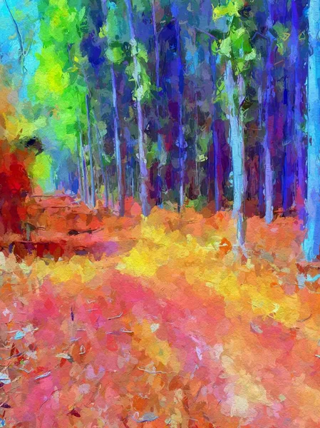 art color of way in forest