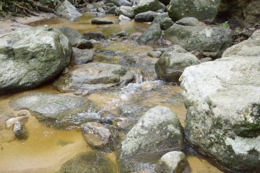 Ormanda güzel bir şelale