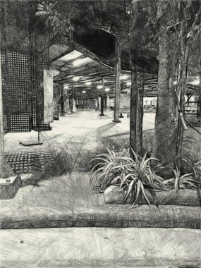 Gece bahçesinin siyah ve beyazı