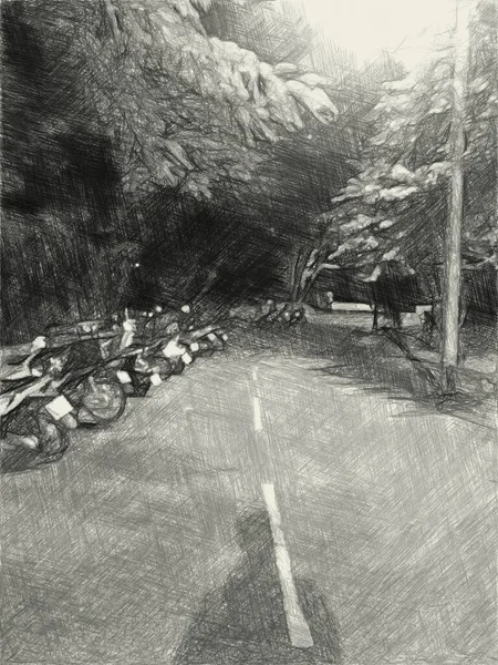 Черно Белый Путь Лесу — стоковое фото