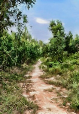 Ormanda yol sanatının rengi