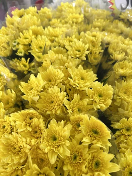 Yellow Chrysanthemum Flower Flora Shop — Stock Photo, Image