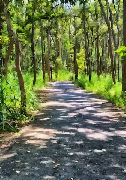 Cor Arte Caminho Floresta — Fotografia de Stock