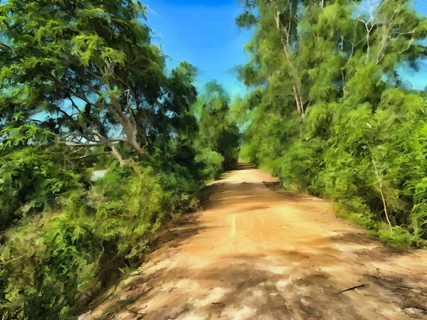 Cor Arte Caminho Floresta — Fotografia de Stock