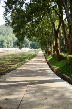 Tayland 'da yolu kapatın.