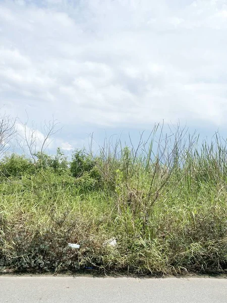 Carretera País Tailandia —  Fotos de Stock