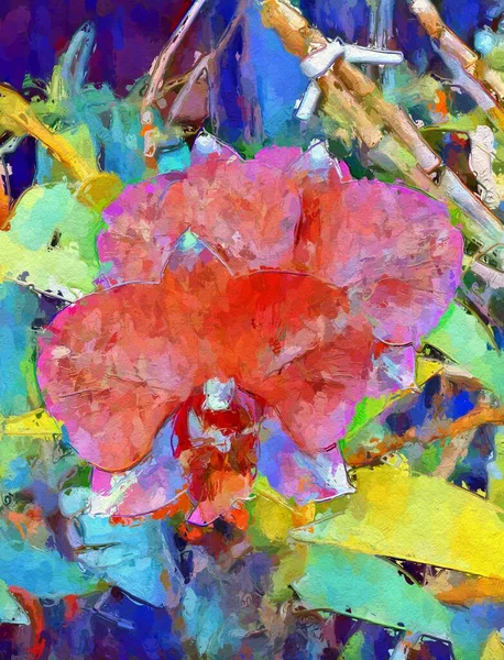 art color of orchid flower