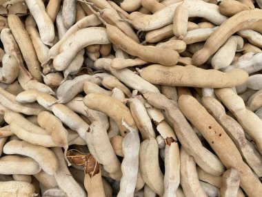 Yerdeki kuru demirhindi.