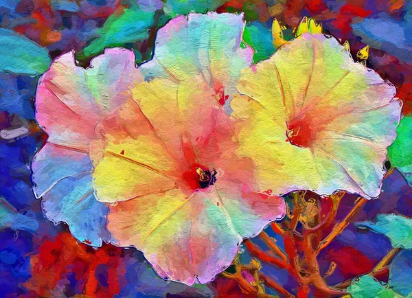 art color of morning glory flower