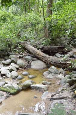 Bang Phra 'da Chanta Şelalesi, Sriracha, Chonburi, Tayland.