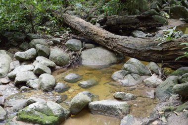 Bang Phra 'da Chanta Şelalesi, Sriracha, Chonburi, Tayland.