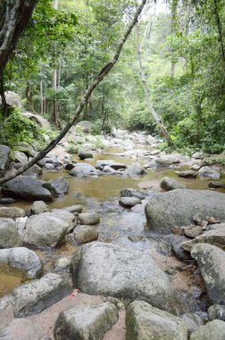 Bang Phra 'da Chanta Şelalesi, Sriracha, Chonburi, Tayland.