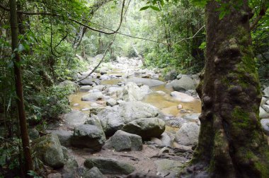 Bang Phra 'da Chanta Şelalesi, Sriracha, Chonburi, Tayland.