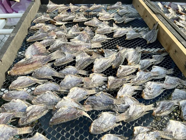 Tilapia Seca Salada Suelo Bambú —  Fotos de Stock