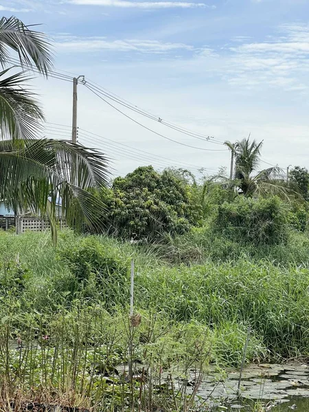 Paisaje Chachoengsao Tailandia — Foto de Stock