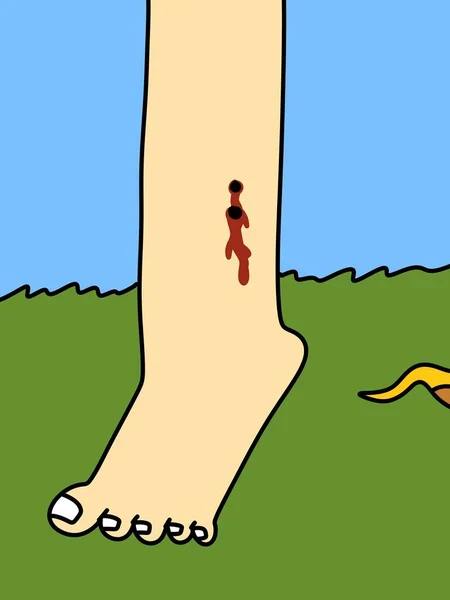 Snake bites a man's leg cartoon