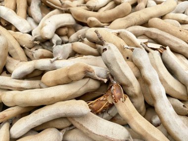 Yerdeki kuru demirhindi.