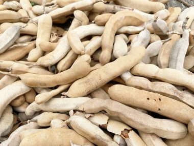 Yerdeki kuru demirhindi.