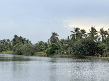 Tayland 'da Chachoengsao' da balık havuzu