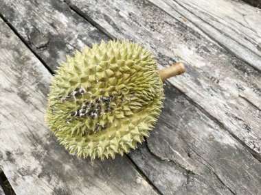 Durian meyve ahşap zemin üzerinde çürümüş